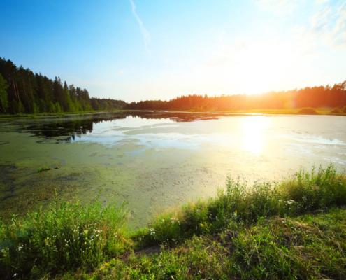 Stiftelsen Vårstavi